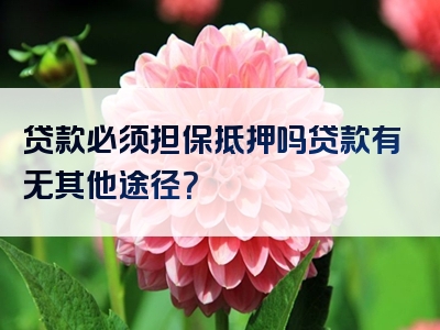 贷款必须担保抵押吗贷款有无其他途径？