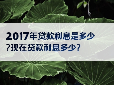 2017年贷款利息是多少？现在贷款利息多少？