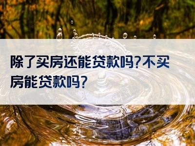 除了买房还能贷款吗？不买房能贷款吗？