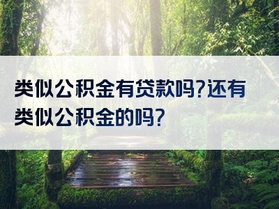 类似公积金有贷款吗？还有类似公积金的吗？