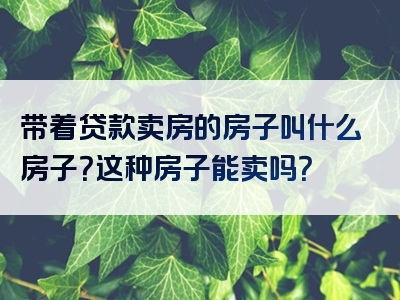 带着贷款卖房的房子叫什么房子？这种房子能卖吗？