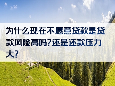 为什么现在不愿意贷款是贷款风险高吗？还是还款压力大？