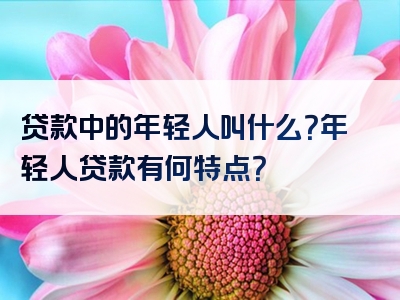 贷款中的年轻人叫什么？年轻人贷款有何特点？