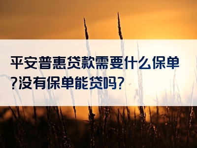 平安普惠贷款需要什么保单？没有保单能贷吗？