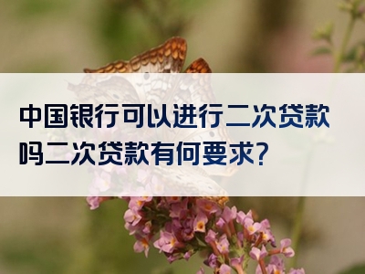 中国银行可以进行二次贷款吗二次贷款有何要求？