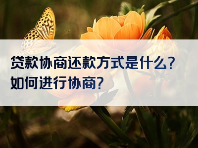 贷款协商还款方式是什么？如何进行协商？