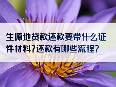 生源地贷款还款要带什么证件材料？还款有哪些流程？