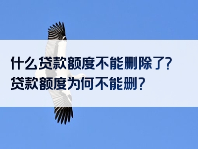 什么贷款额度不能删除了？贷款额度为何不能删？