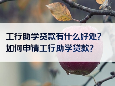 工行助学贷款有什么好处？如何申请工行助学贷款？