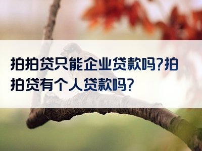 拍拍贷只能企业贷款吗？拍拍贷有个人贷款吗？