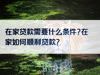 在家贷款需要什么条件？在家如何顺利贷款？