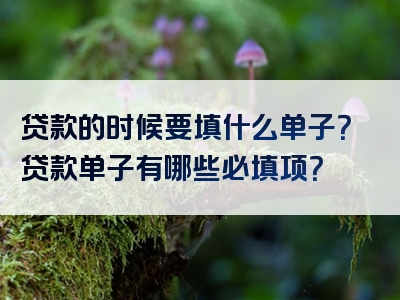 贷款的时候要填什么单子？贷款单子有哪些必填项？