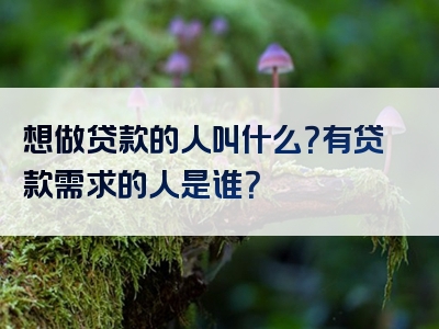 想做贷款的人叫什么？有贷款需求的人是谁？