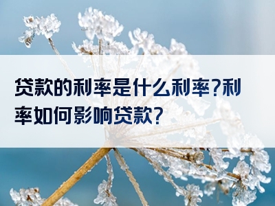 贷款的利率是什么利率？利率如何影响贷款？