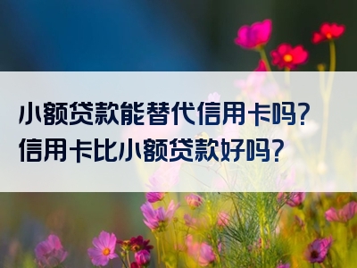 小额贷款能替代信用卡吗？信用卡比小额贷款好吗？