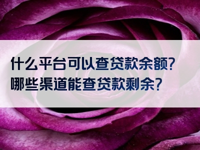 什么平台可以查贷款余额？哪些渠道能查贷款剩余？