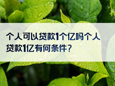 个人可以贷款1个亿吗个人贷款1亿有何条件？