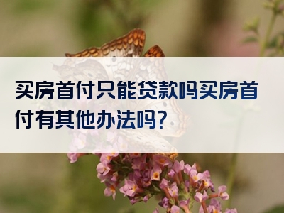 买房首付只能贷款吗买房首付有其他办法吗？