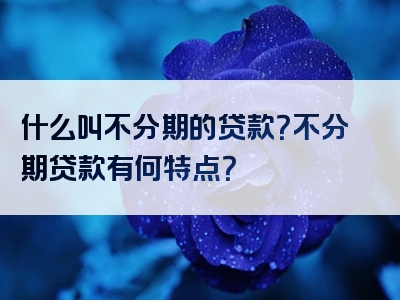 什么叫不分期的贷款？不分期贷款有何特点？