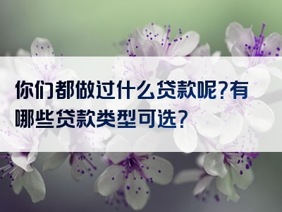 你们都做过什么贷款呢？有哪些贷款类型可选？