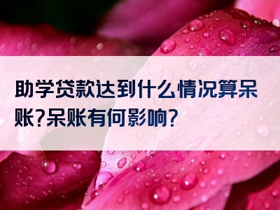 助学贷款达到什么情况算呆账？呆账有何影响？