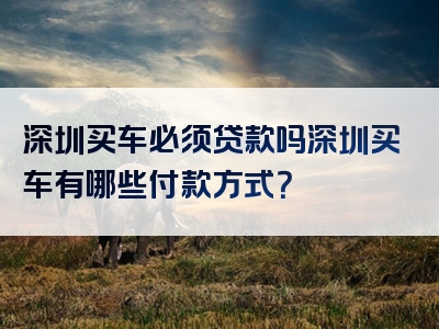 深圳买车必须贷款吗深圳买车有哪些付款方式？