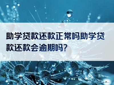 助学贷款还款正常吗助学贷款还款会逾期吗？