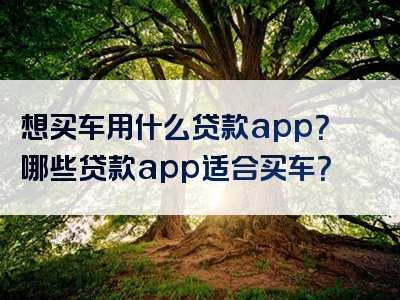 想买车用什么贷款app？哪些贷款app适合买车？