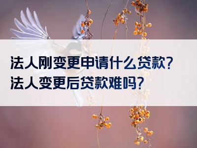 法人刚变更申请什么贷款？法人变更后贷款难吗？