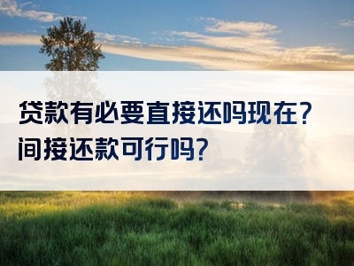 贷款有必要直接还吗现在？间接还款可行吗？