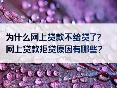 为什么网上贷款不给贷了？网上贷款拒贷原因有哪些？