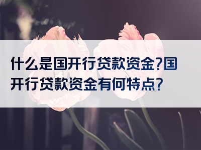 什么是国开行贷款资金？国开行贷款资金有何特点？