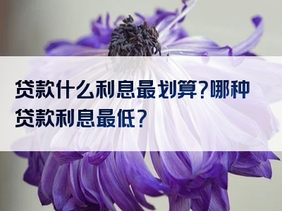 贷款什么利息最划算？哪种贷款利息最低？