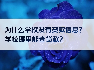 为什么学校没有贷款信息？学校哪里能查贷款？