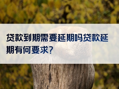 贷款到期需要延期吗贷款延期有何要求？