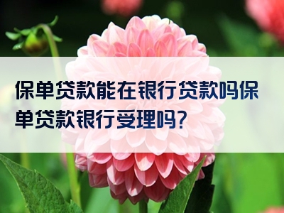 保单贷款能在银行贷款吗保单贷款银行受理吗？