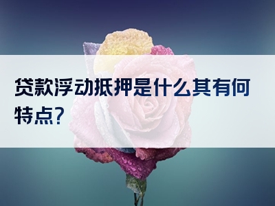 贷款浮动抵押是什么其有何特点？