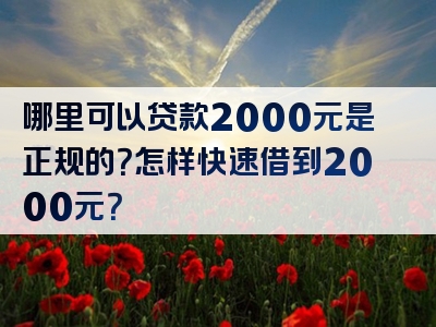 哪里可以贷款2000元是正规的？怎样快速借到2000元？