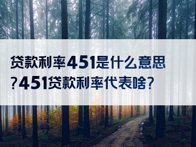 贷款利率451是什么意思？451贷款利率代表啥？