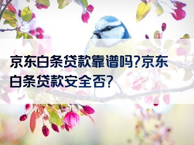 京东白条贷款靠谱吗？京东白条贷款安全否？