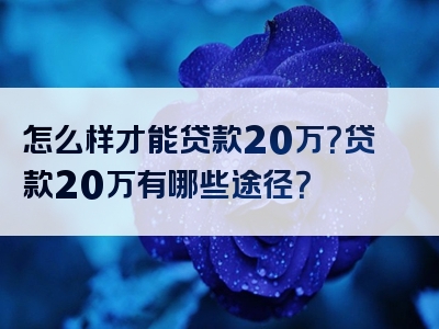 怎么样才能贷款20万？贷款20万有哪些途径？