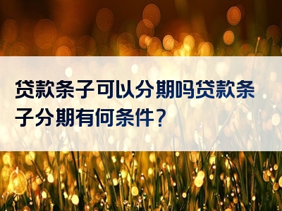 贷款条子可以分期吗贷款条子分期有何条件？