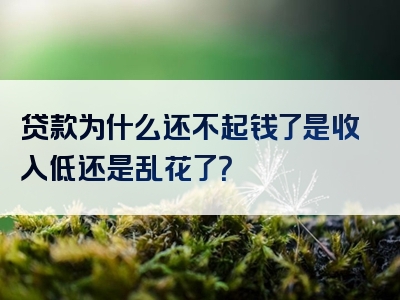 贷款为什么还不起钱了是收入低还是乱花了？