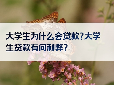 大学生为什么会贷款？大学生贷款有何利弊？