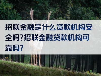 招联金融是什么贷款机构安全吗？招联金融贷款机构可靠吗？