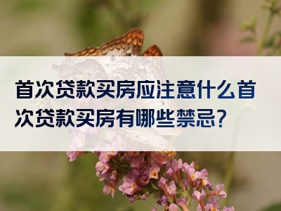 首次贷款买房应注意什么首次贷款买房有哪些禁忌？