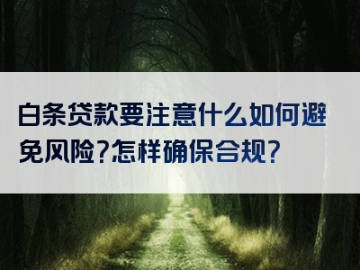 白条贷款要注意什么如何避免风险？怎样确保合规？