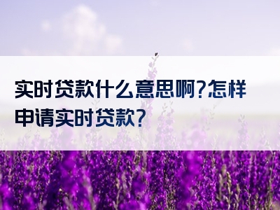 实时贷款什么意思啊？怎样申请实时贷款？