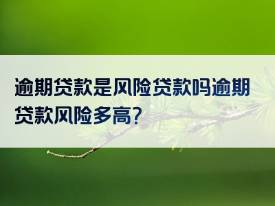 逾期贷款是风险贷款吗逾期贷款风险多高？