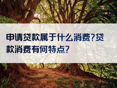 申请贷款属于什么消费？贷款消费有何特点？